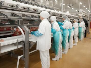 Avicola Crevedia scoate la licitație fabrici, ferme și sediul central