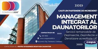 Atenție! Depozitele din România, sub asediul șoarecilor de câmp în sezonul rece – Compania DDD vine cu soluția profesională și certificată CEPA!