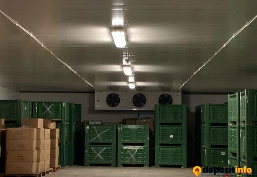 Depozite de închiriat în Depozit frigorific si mediu ambiant
